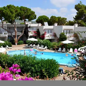book here